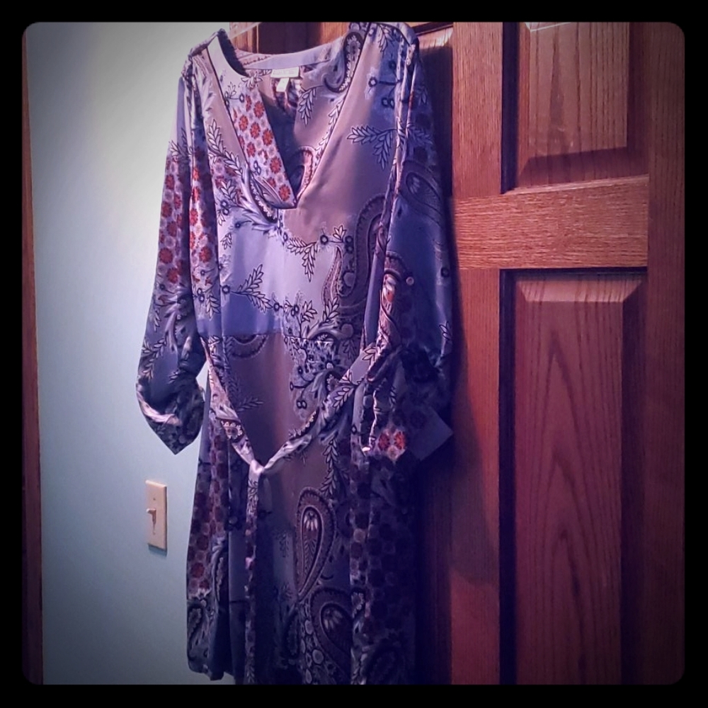New Womens XL Blue Paisley Dress by Dana Buchman